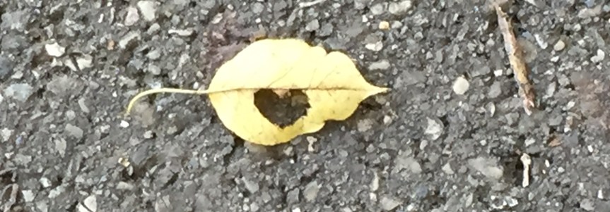 A Believer’s Longing