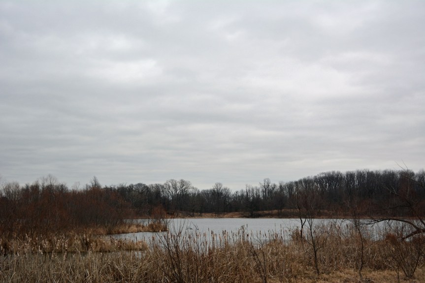 The Honest Believer Is A Precious&nbsp;Gift