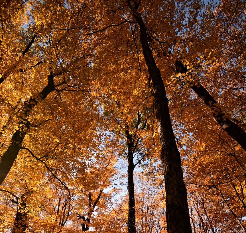 Not Bravado, But&nbsp;Ease