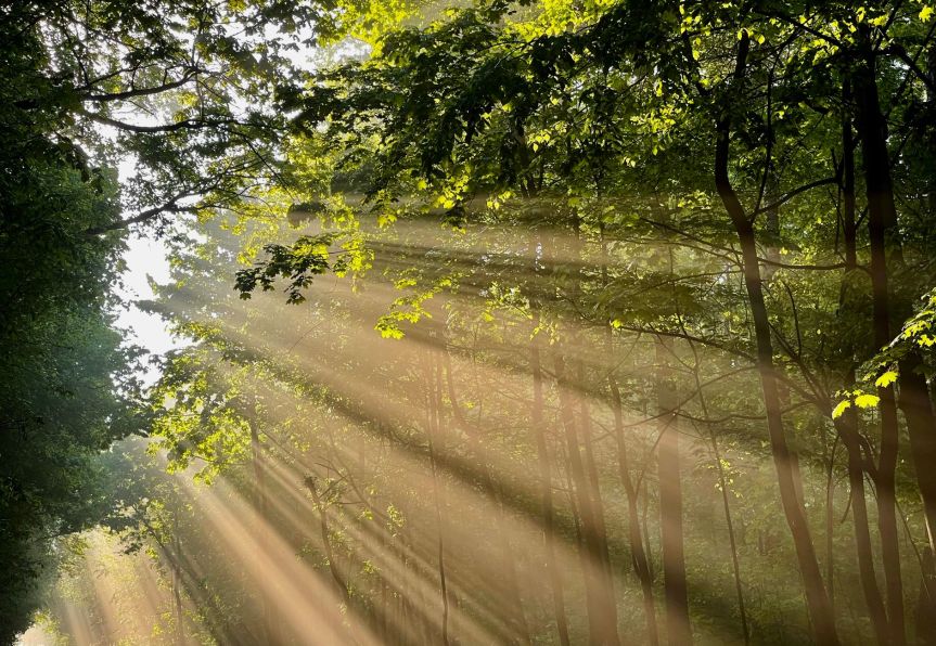 Encountering God (Just Not In The Usual&nbsp;Places)